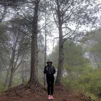 A Trip to Sagada: A Journey to Tranquili