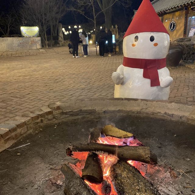韓國加平站❤️南怡島❤️郊外聖誕風情