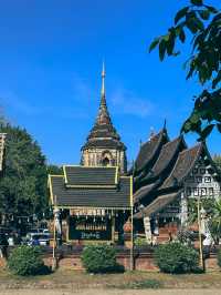 ขอพรความรัก การเงิน การเงิน ที่วัดโลกโมฬี เชียงใหม่