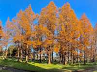 The largest park in Tokyo