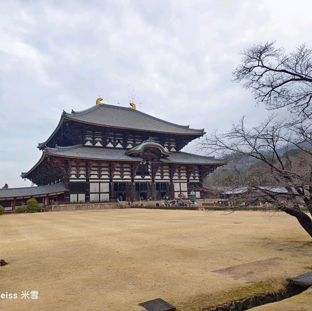 世界遺產東大寺