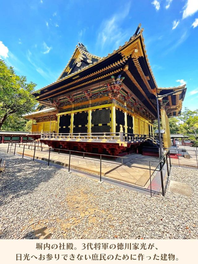 【東京|上野】まばゆい金色堂✨
