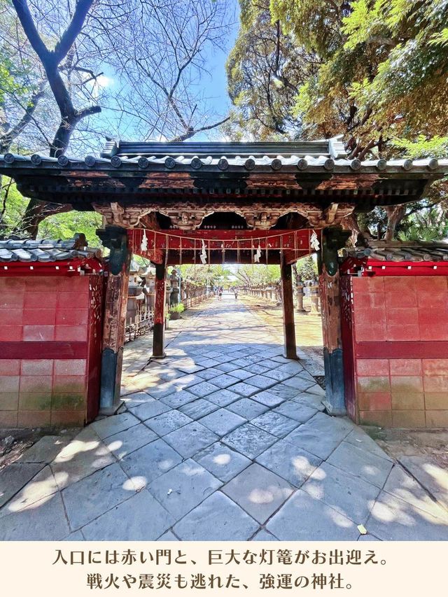 【東京|上野】まばゆい金色堂✨
