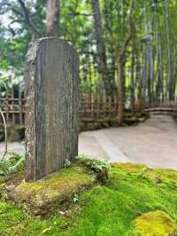 【神奈川】京都じゃないよ！心安らぐ竹の庭🎋