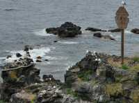 Face on Rocks in Hokkaido