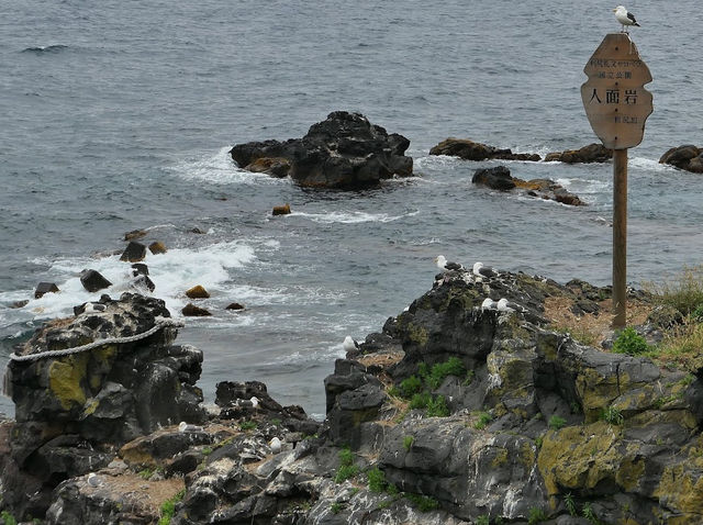 Face on Rocks in Hokkaido