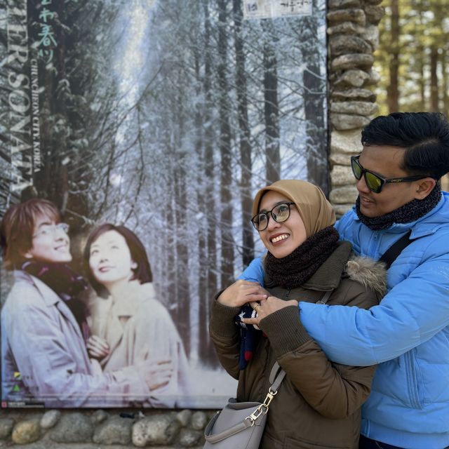 Nami Island with lovely couple💕