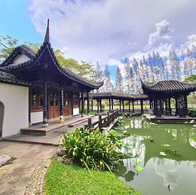 ถ่ายรูปที่ไทยเหมือนไปจีนที่ “สวนจีน สวนหลวงร.9”