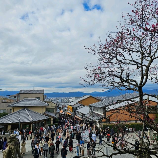 京都必逛景點“清水寺”