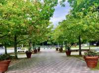 Tarumi Wellness Park