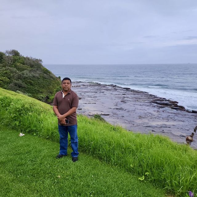 Royal national Watamolla beach Sydney Austral