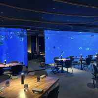 新加坡夢幻海底餐廳「Ocean Restaurant 」🐠