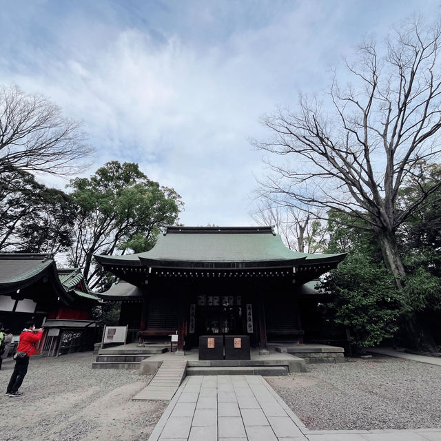 關東地區賞櫻前五名 - 川越冰川神社⛩️樱花🌸