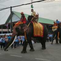 แห่ช้างบวชนาคประจำปี วัดธารชะอม