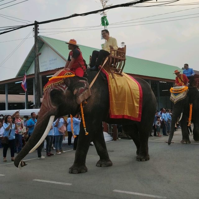 แห่ช้างบวชนาคประจำปี วัดธารชะอม