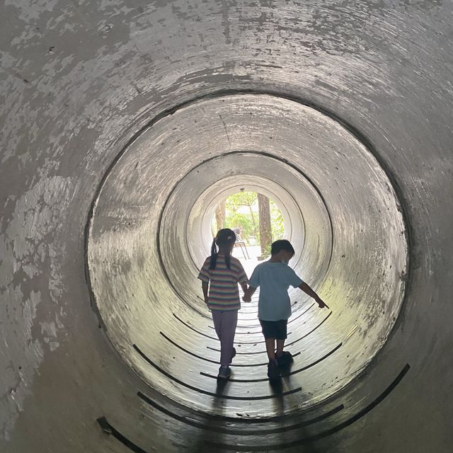 【十鼓仁糖文創園區】臺南必去親子景點，適合全年遊玩