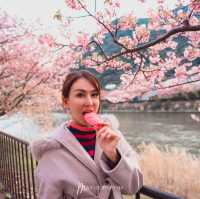 มารู้จักกับ ซากุระพันธุ์บานเร็ว กันค่ะ✨🌸