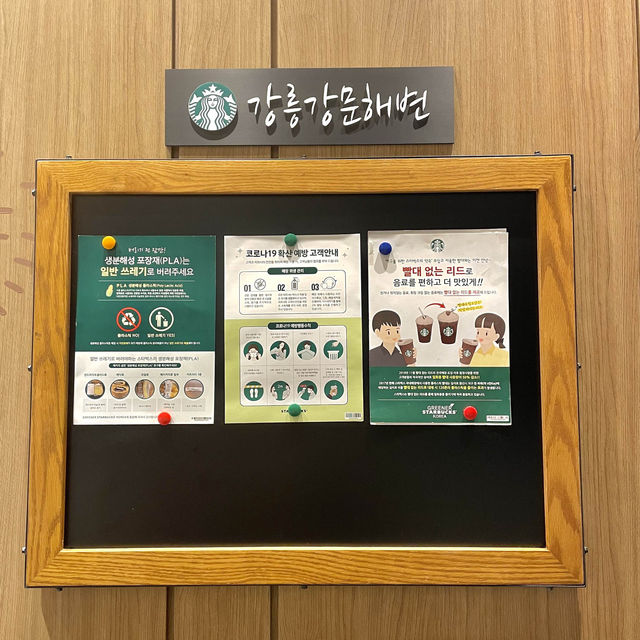 강릉 여행 완벽 즐기기! 