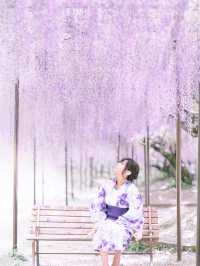 【圧巻の九尺藤！】白毫寺の藤棚が綺麗すぎる！