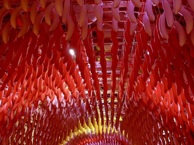Museum of Ice Cream