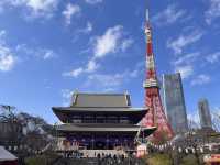 東京タワーが綺麗に見える芝公園🗼