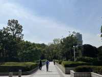 【都庁の隣の癒し公園★】新宿中央公園