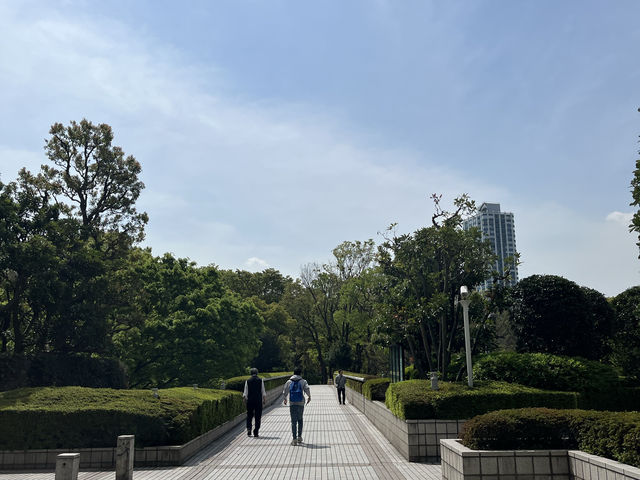【都庁の隣の癒し公園★】新宿中央公園
