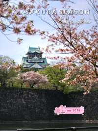 ที่ชมซากุระในเมืองโอซาก้า วันเดียวก็เที่ยวได้!
