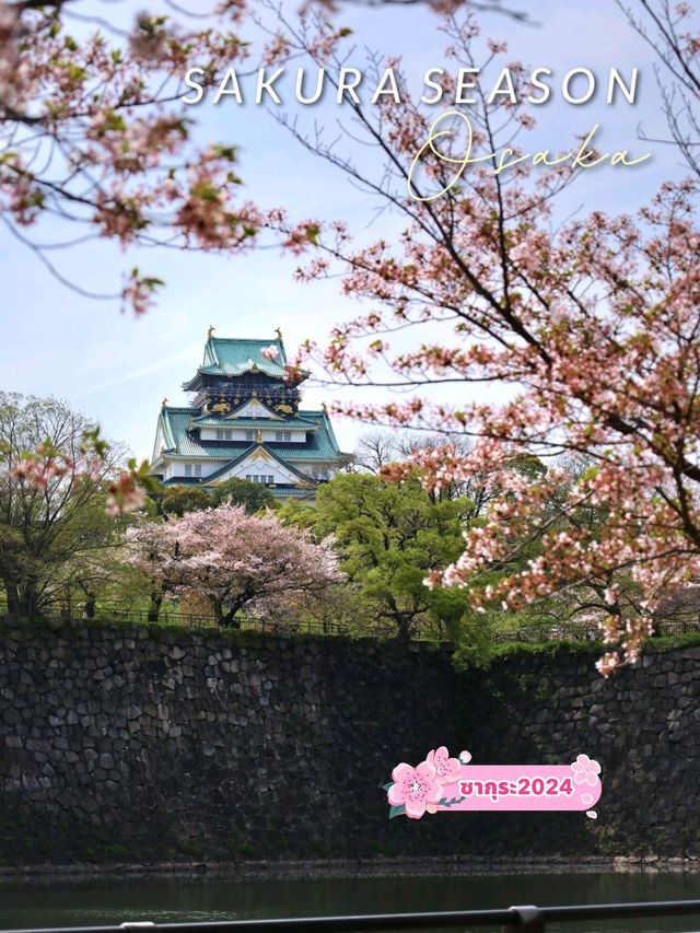 ที่ชมซากุระในเมืองโอซาก้า วันเดียวก็เที่ยวได้!