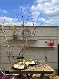 【福岡カフェ】どの部屋で食べるか迷ってしまう？緑に囲まれたガーデンカフェ🌿