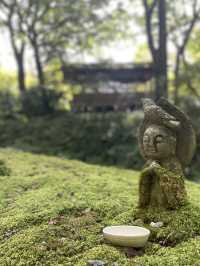 【京都】紅葉シーズンにも期待🍁