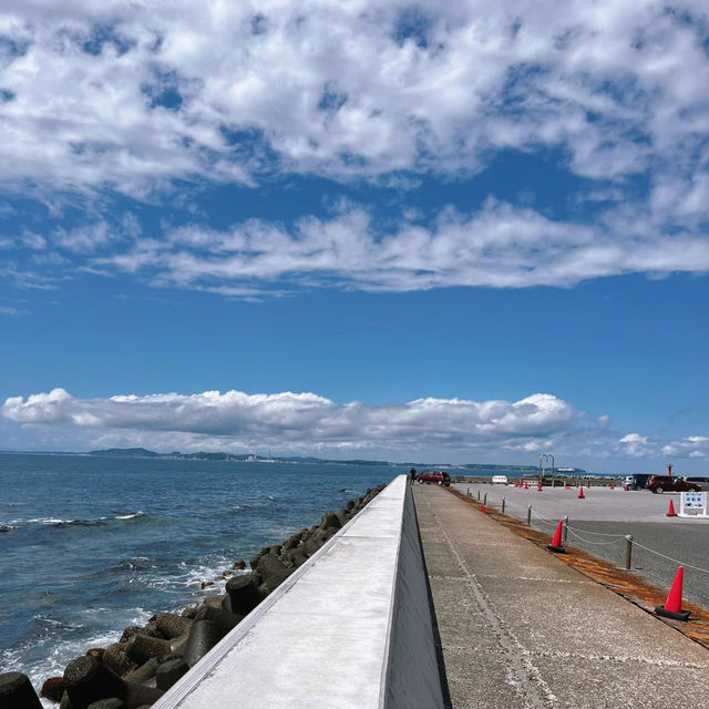 「東京海濱公園：自然風光，野餐玩樂，盡享悠閒海濱時光」