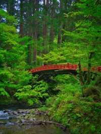 【山形】歴史と共に山奥にひっそり佇む五重塔🏞  