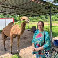 Best tasting mutton in Klang Valley - House of Kambing