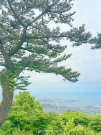 【兵庫/神戸】ケーブルカーとローブウェイ