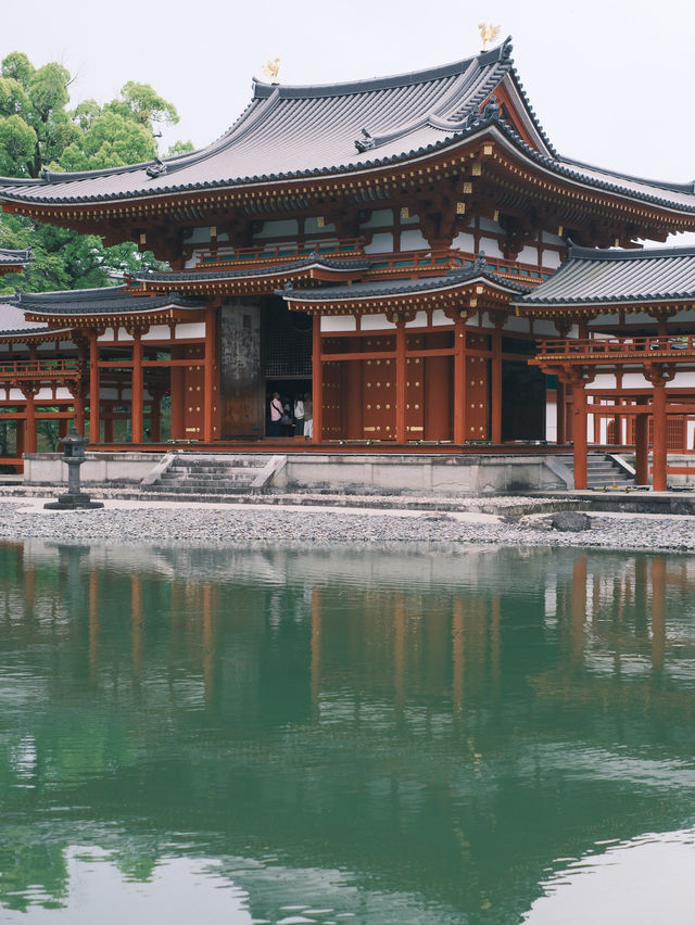 京都 | 宇治一日遊 造訪抹茶之鄉🍵