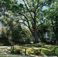 岡山後楽園