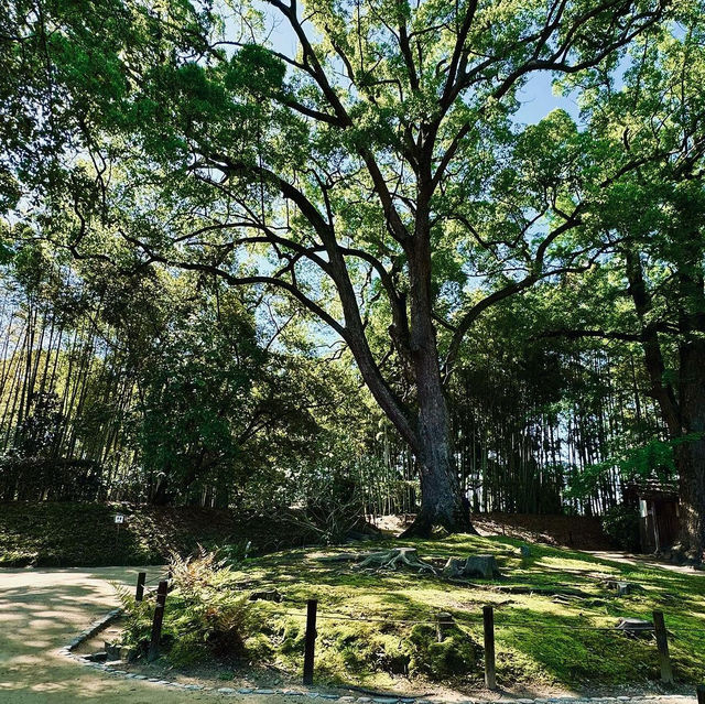 岡山後楽園