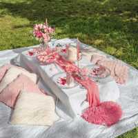 picnic Paris