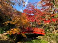 熱海梅園の紅葉
