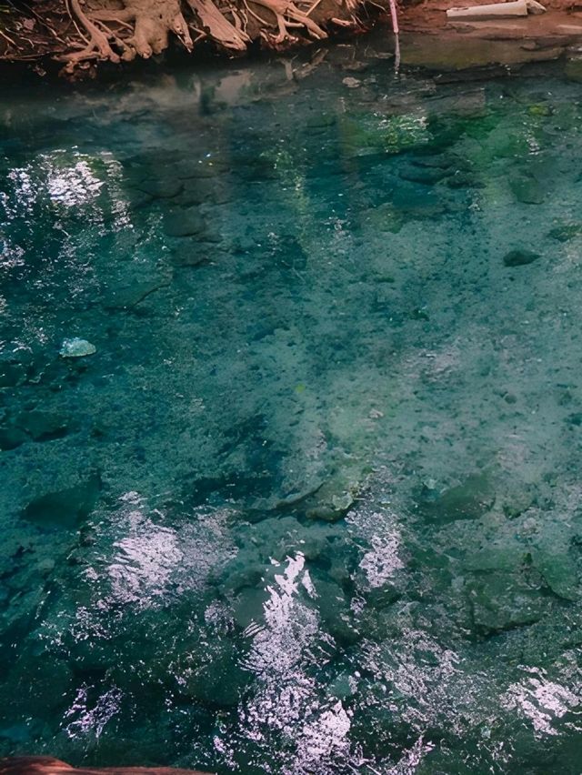 💦 สัมผัสธรรมชาติ น้ำผุดปากช่อง 