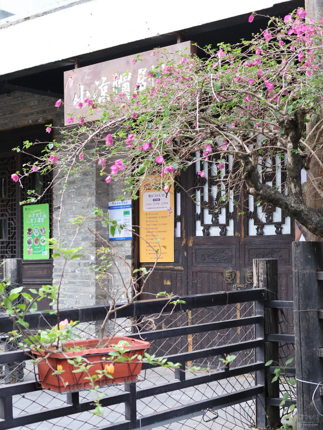 🏮深圳客家風光-甘坑古鎮