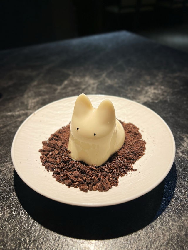 韓國大熱‼️舞動奶凍貓喵🐱
