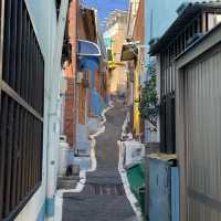 해안산책로 갖춘 독창적인 문화예술마을🎨🧑‍🎨