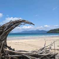 【唐津】夏は海水浴🌊冬は牡蠣小屋で賑わう「北浜海水浴場🛟」