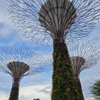 新加坡不能錯過之Garden by the bay