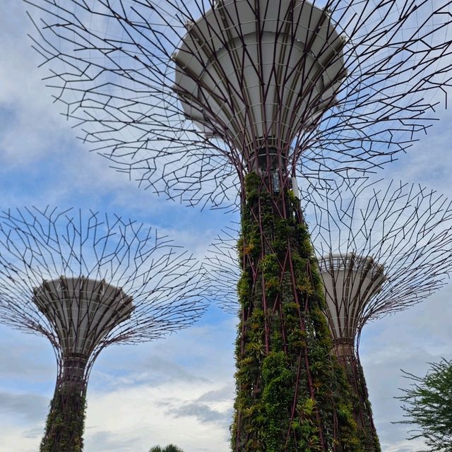 新加坡不能錯過之Garden by the bay