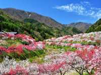 昼神溫泉阿智村桃花之里