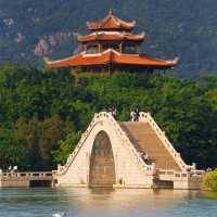 【高雄】澄清湖～荷花夢幻景緻～園林藝術之美