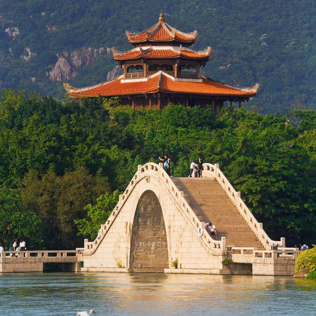 【高雄】澄清湖～荷花夢幻景緻～園林藝術之美